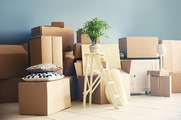 Leo India Packers and Movers
